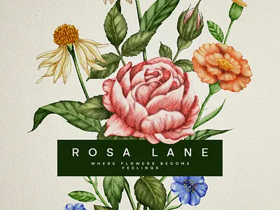 Rosa Lane Identity branding floral florist graphic design graphicdesign illustration illustrator logo logo design luxury vector vintage illustration watercolor watercolor logos