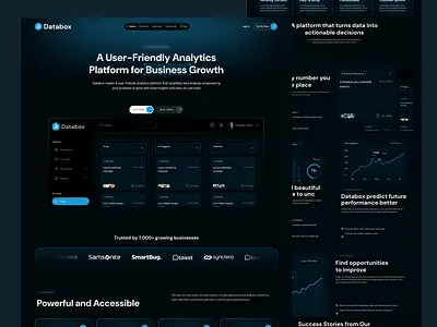 Databox - SaaS Landing Page Design branding business design landing landing page modern saas saas app saas landing page saas website software landing page ui ui ux ux web design
