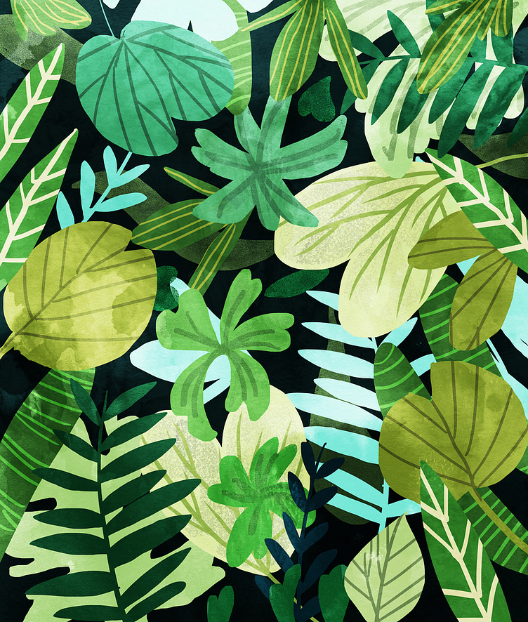 Rainforest II by Uma Gokhale on Dribbble