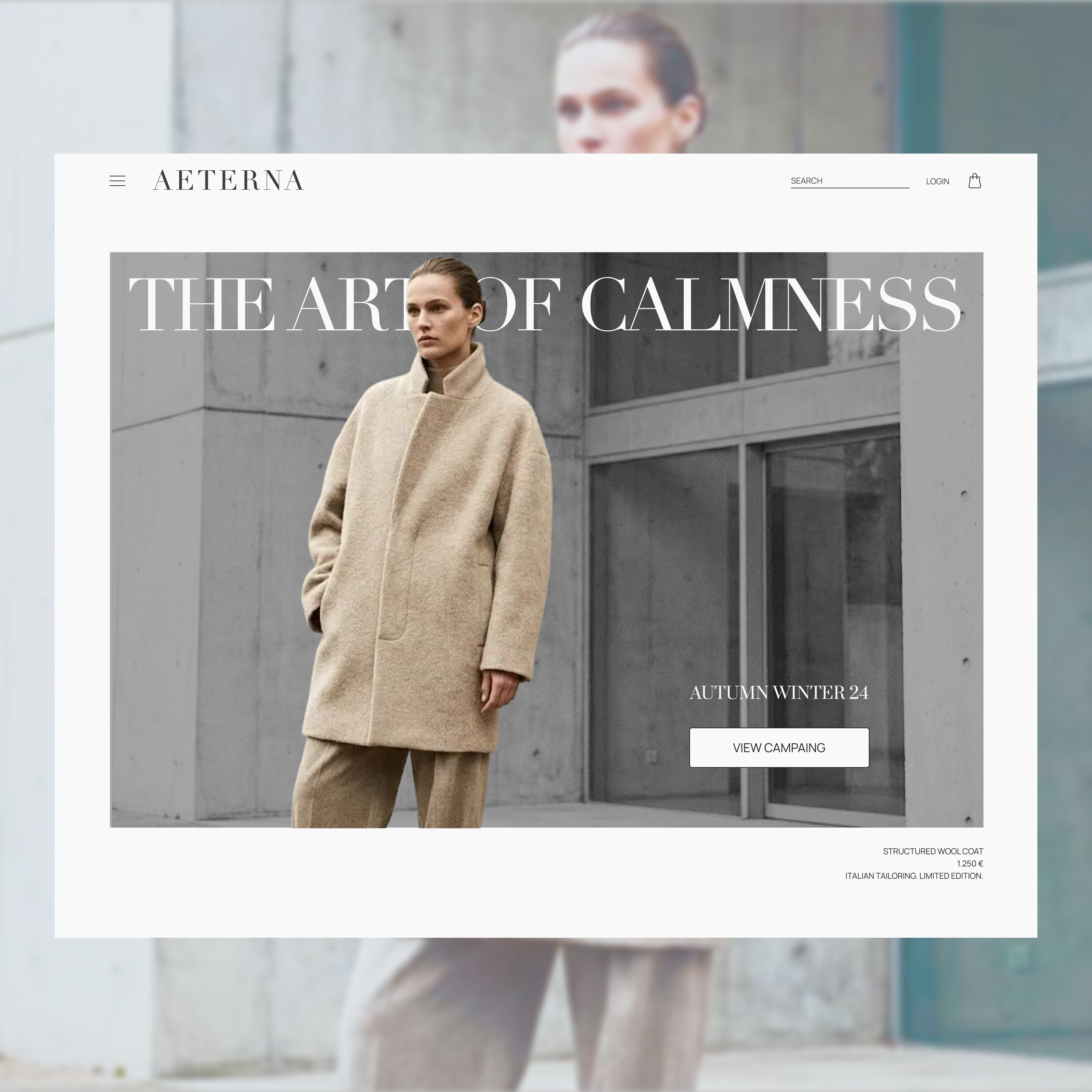 Luxury Fashion Hero branding design interface ui web design