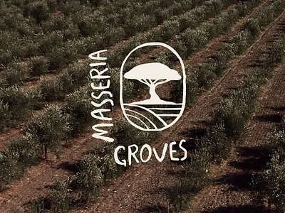 Masseria Groves branding design elegant flat food graphic design icon illustration italy logo luxury minimal olive simple tree typography vector