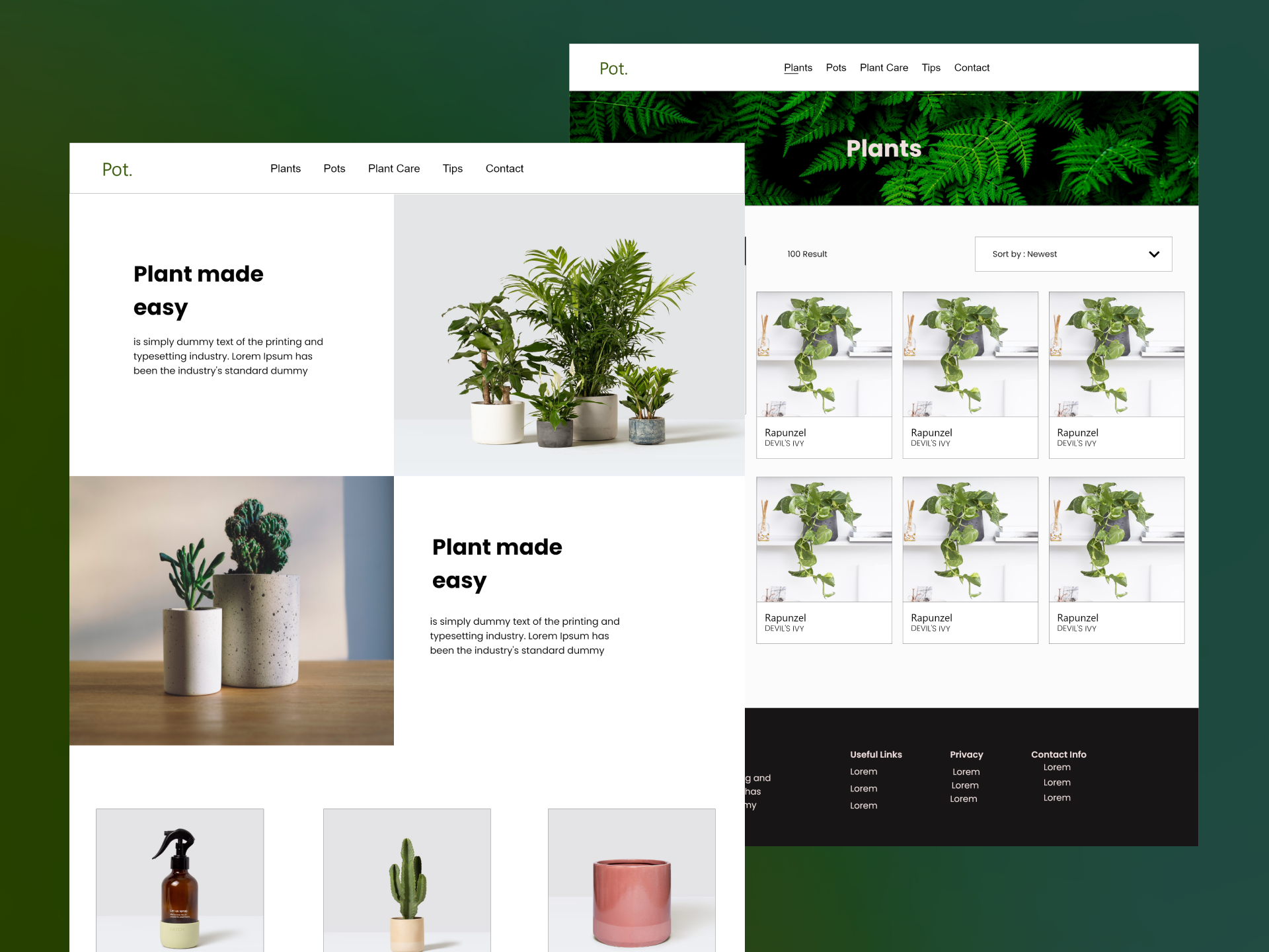 Example of High Converting Landing Page