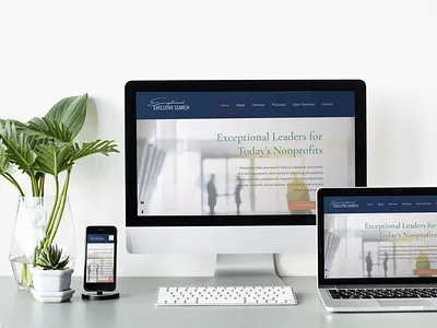 Exceptional Executive Search Branding & Website Design brand design branding design graphic design logo typography ui ux website