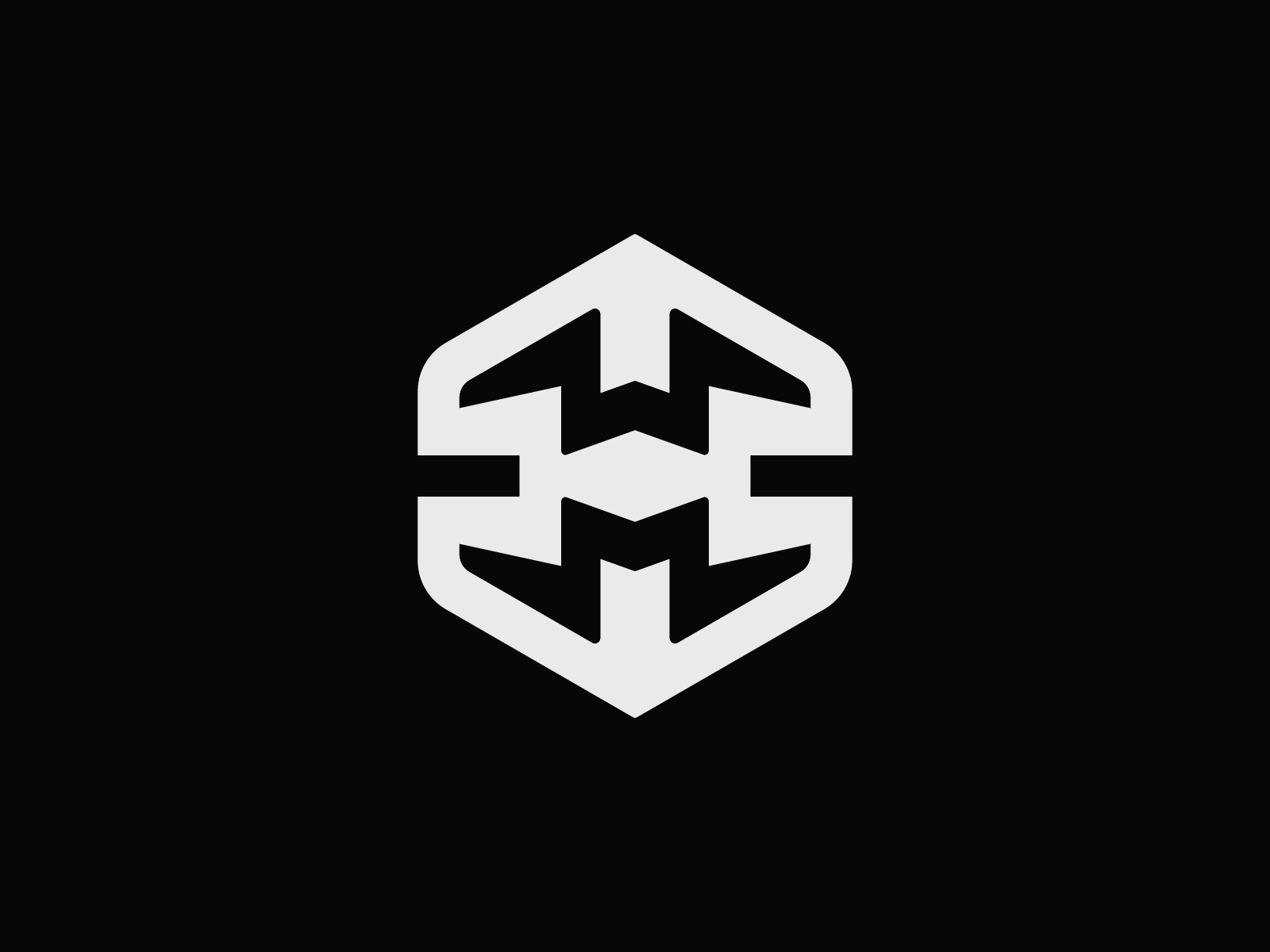 MW Hexagon Logo corporate creative elegant finance hexagon identity design initial letter mw lettermark logo design logo mark logo mw luxury mw hexagon symbol type visual identity