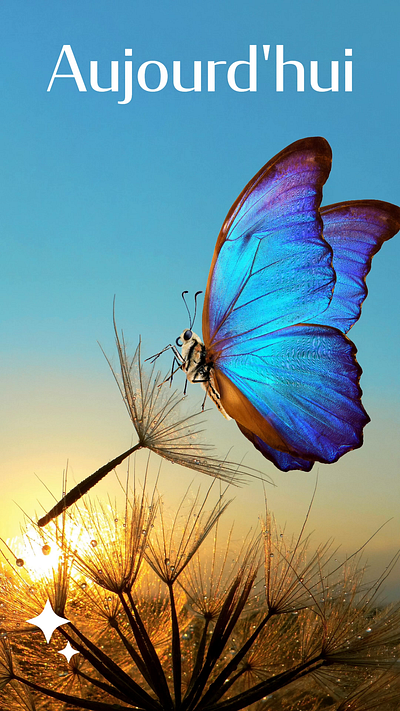 Story pour la promotion d'un magasin 1 vidéo