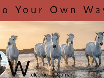 Promotion de la Camargue prospectus