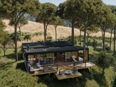 Peace in the Forest 3d design illustration visualization