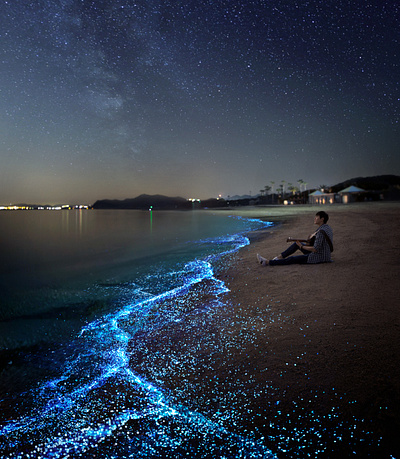 advertising visual art work advertising cg cg7days visual art 관광 광고 광고이미지 비주얼아트 여행 월화수목금토일 일본관광청