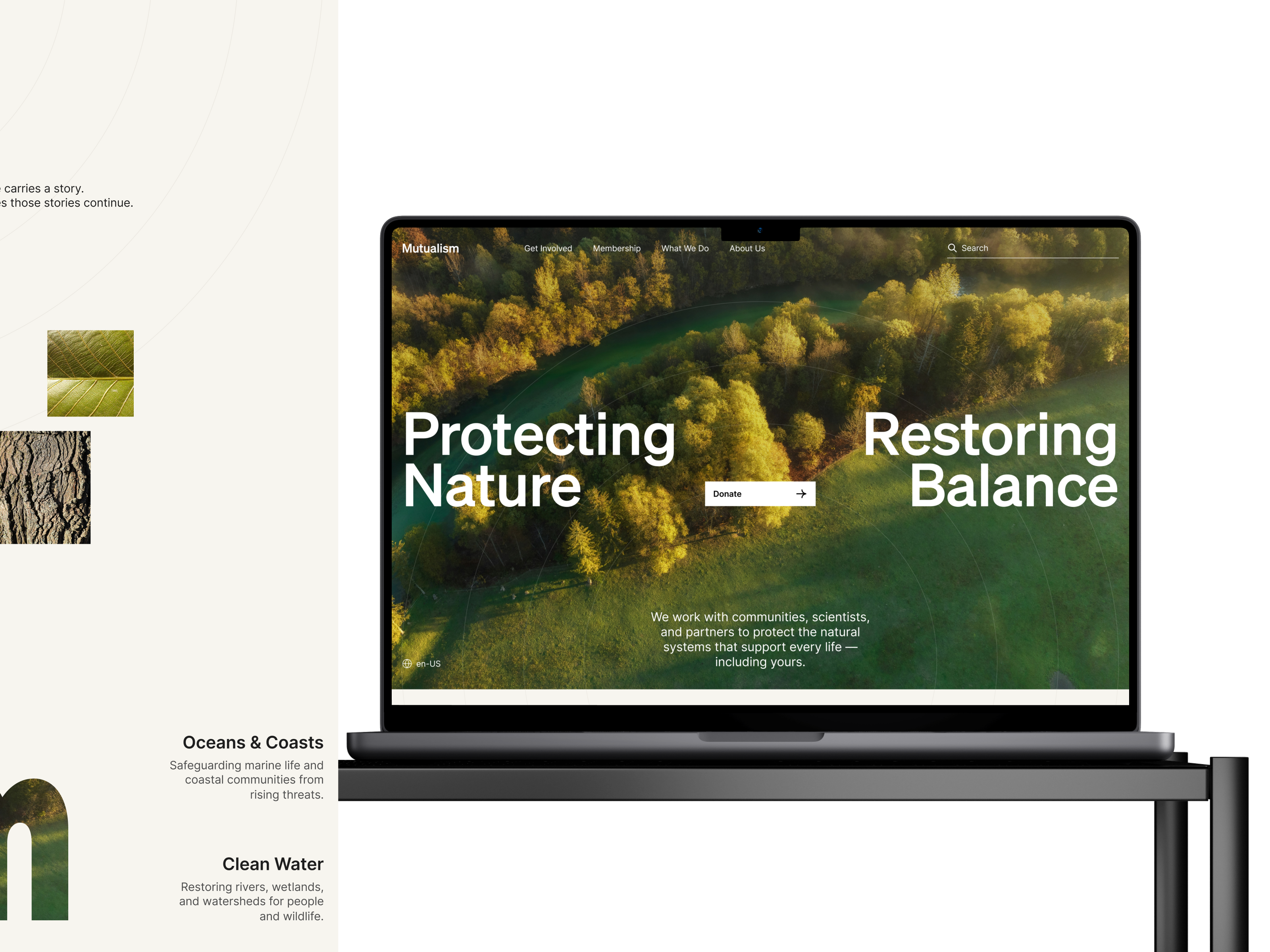 Example of Website Design