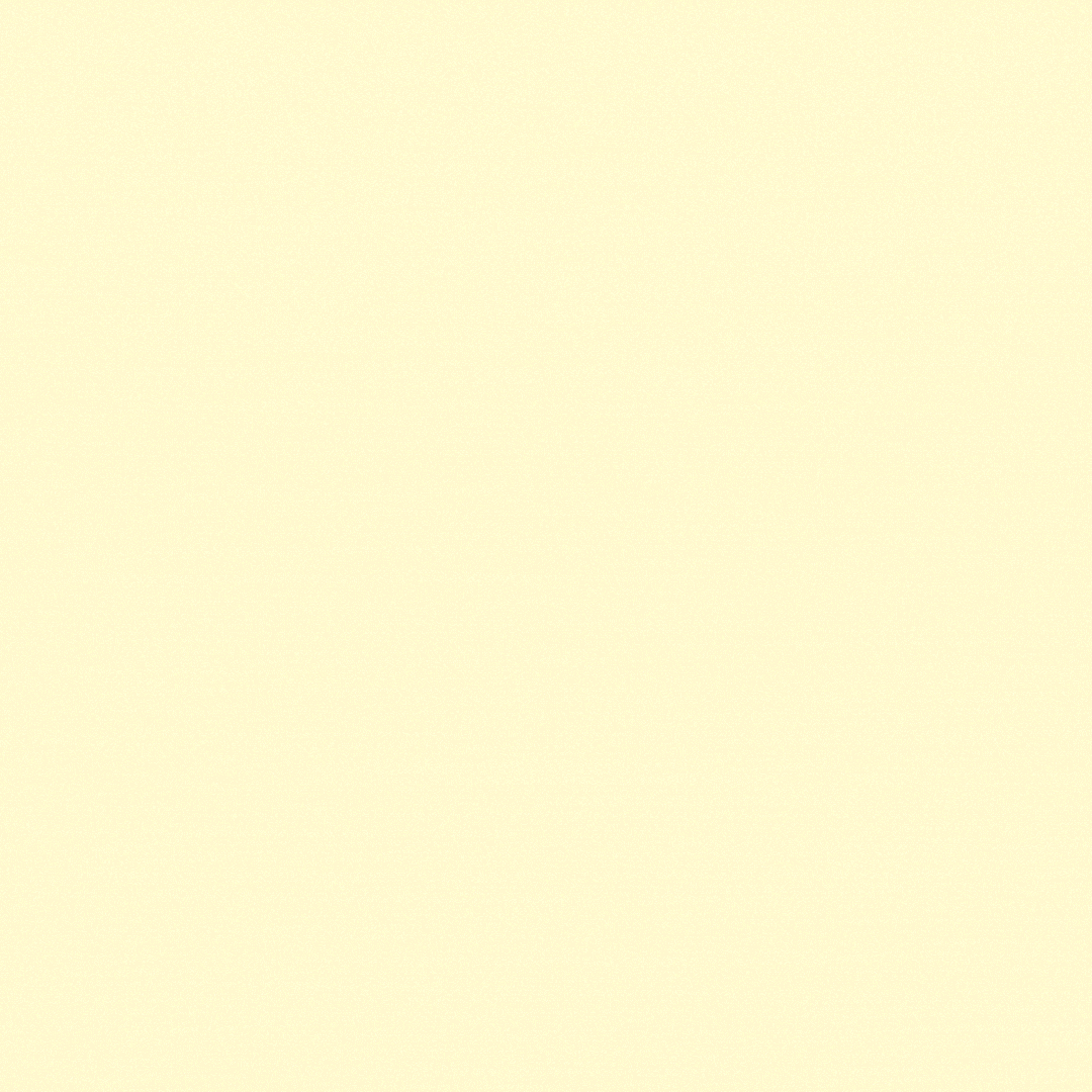 Wine Branding and Motion Design animation branding logo design