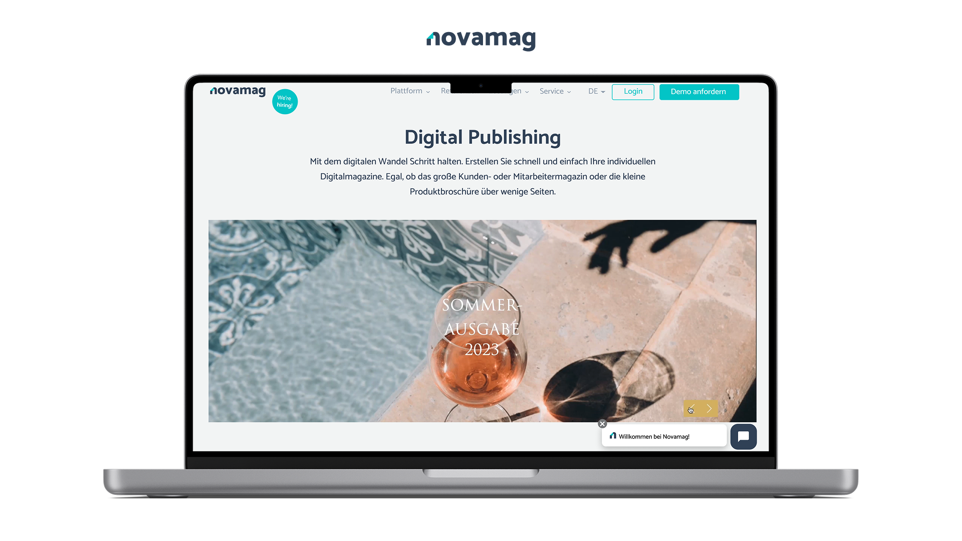 Example of Signature Brand Identity & Website 