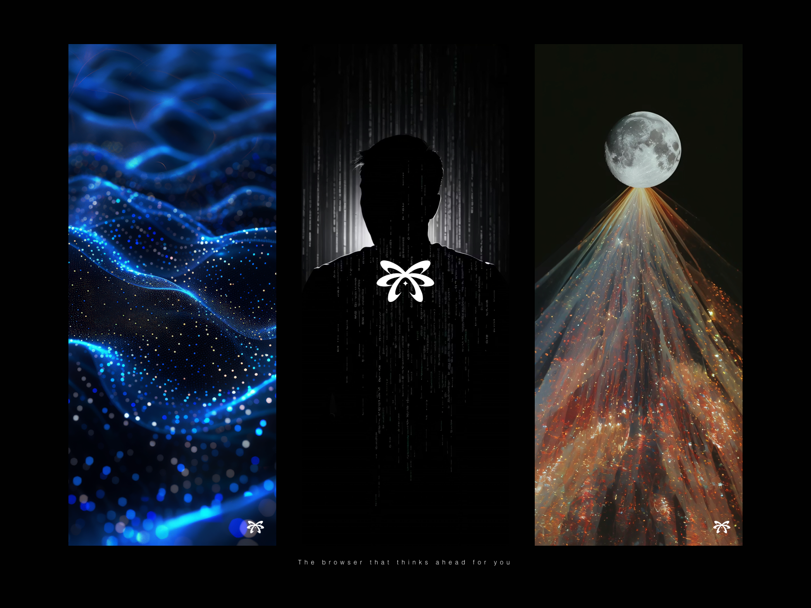 Example of Premium Logo Design