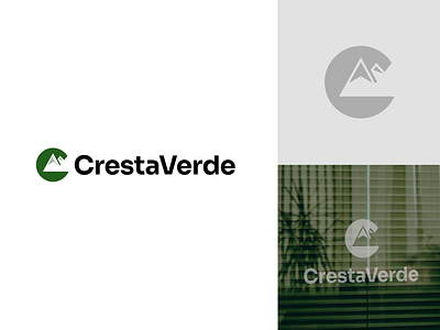 Consulting startup logo brand brand designer branddesigner branding branding designer brandingdesigner c logo consulting logo letter c logo logo logo design logo designer logodesign logodesigner logotype mountain logo negative space logo startup logo