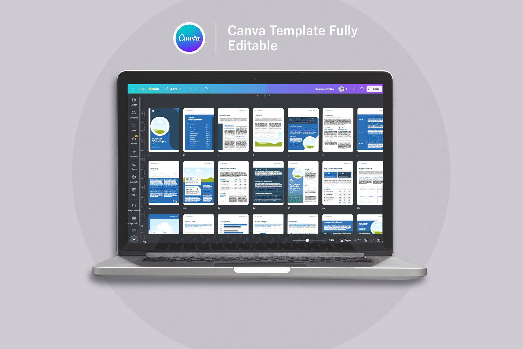 Example of Professional White Paper Template