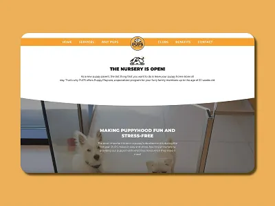 Interface Snapshot brand identity branding creative design design graphic design logo ui ux vector web design