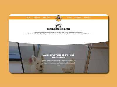 Interface Snapshot brand identity branding creative design design graphic design logo ui ux vector web design