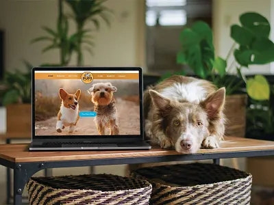 Interface in Action brand identity branding creative design design graphic design logo ui ux vector