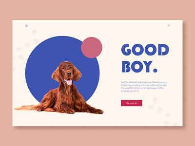 Concept. Good boy, version 1. graphic design ui