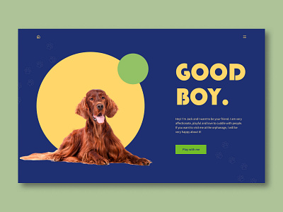 Concept. Good boy, version 2. design graphic design ui