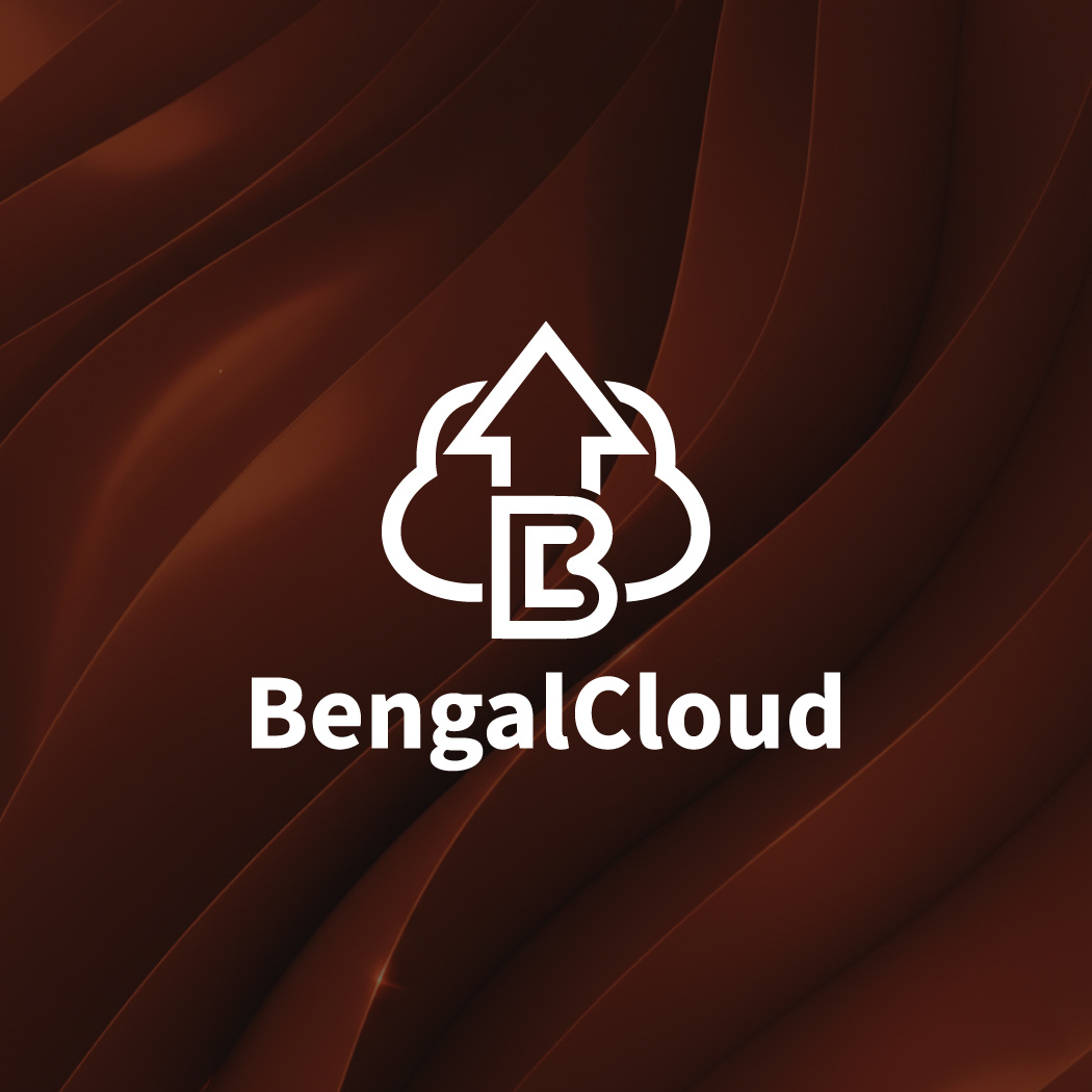 Modern Web Hosting Logo & Brand Identity Design branding design graphic design illustration logo luxury logo vector