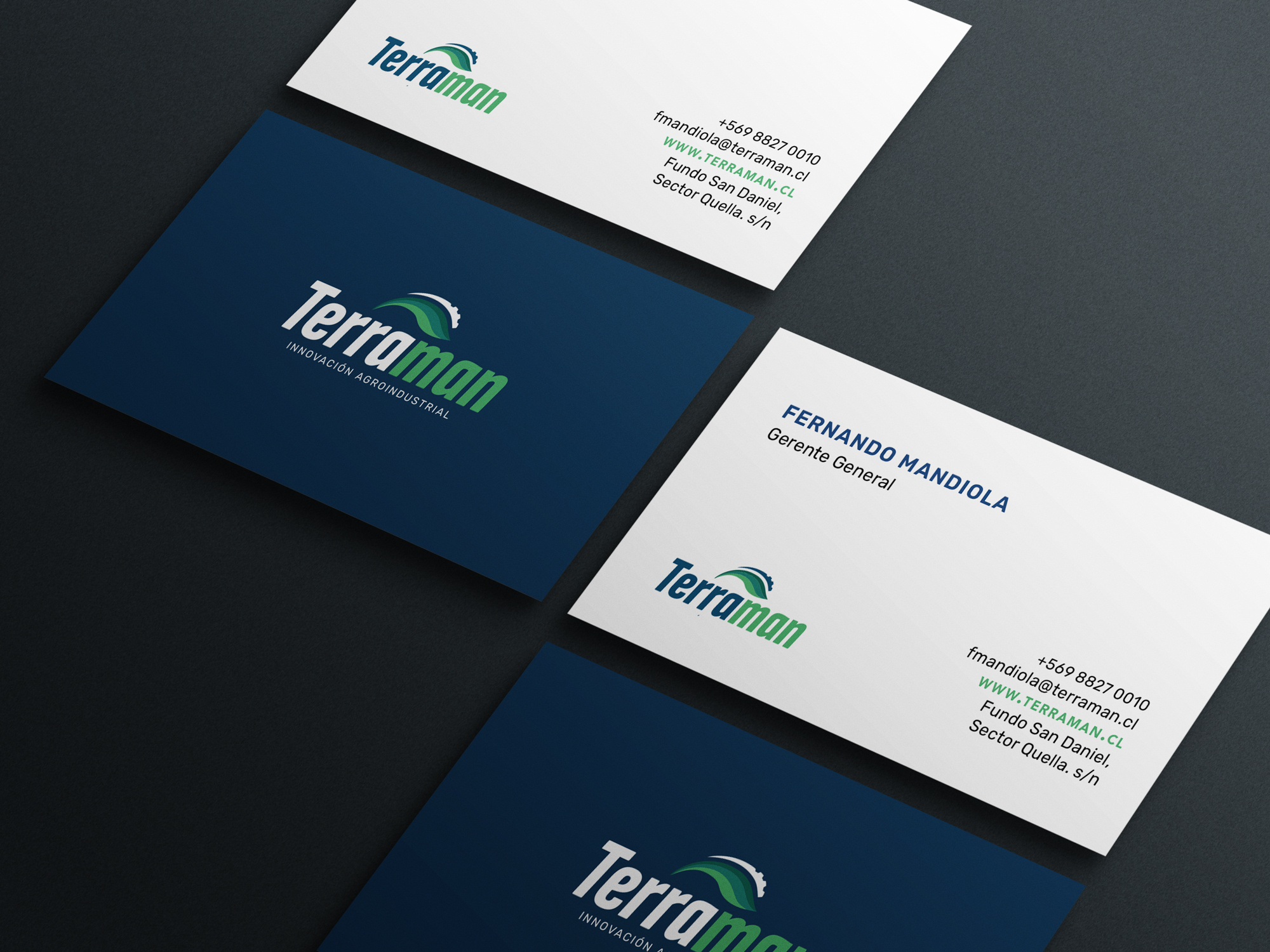 Branding Terraman agroindustrial branding branding design logo