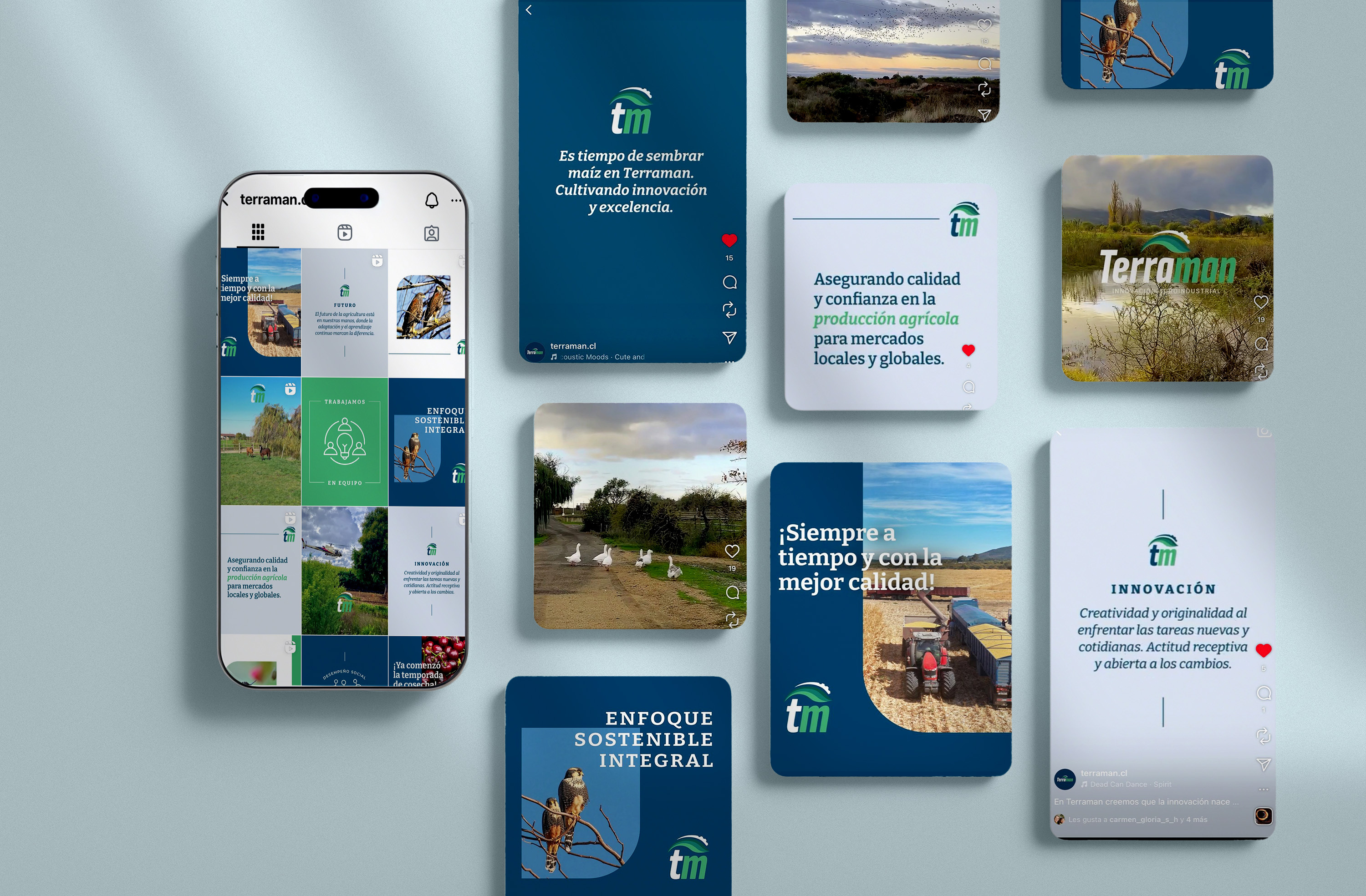 Community manager y diseñadora Instagram Terraman feed design graphic design instagram instagram design rrss