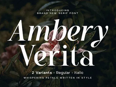 Ambery Verita – Elegant Modern Serif Typeface branding design display fashion graphic design illustration layout logo luxury magazine modern typography ui