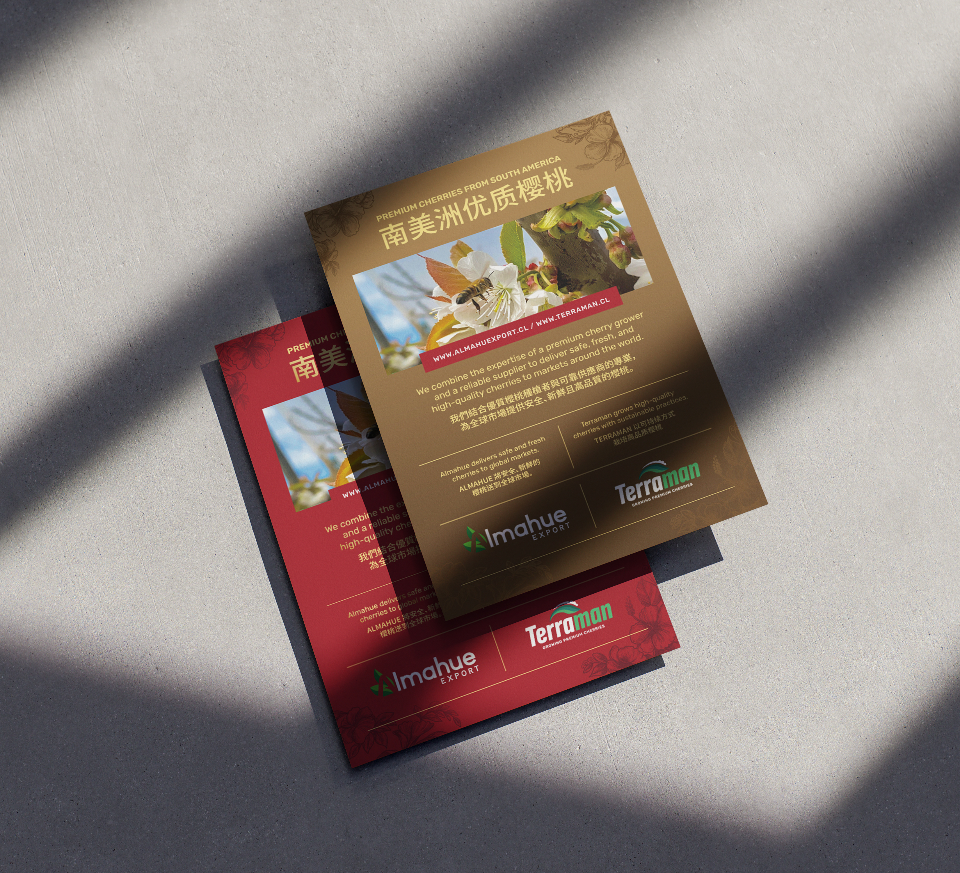 Almahue + Terraman branding cherries cherry china stand stand design