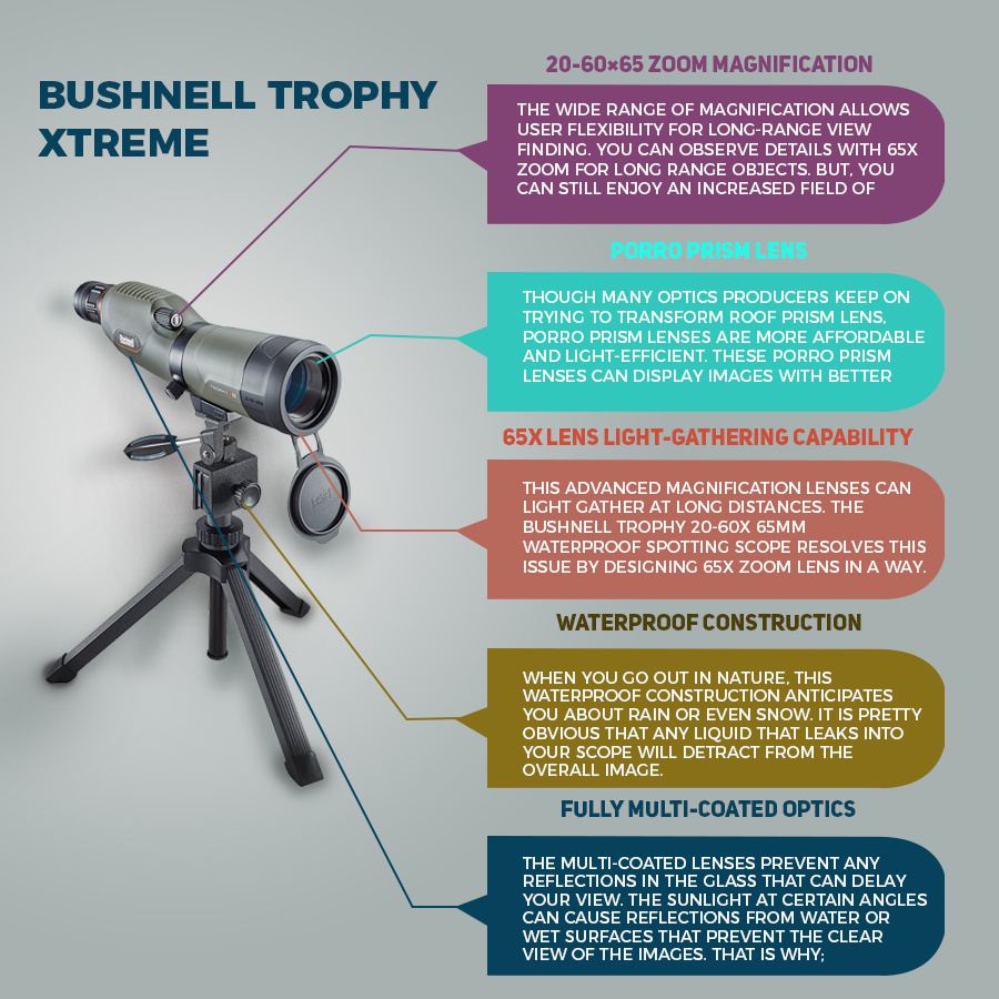 Bushnell Trophy Xtreme Product Infographic | Outdoor Optics branding design ecommerce infographic graphic design illustration marketing product infographic