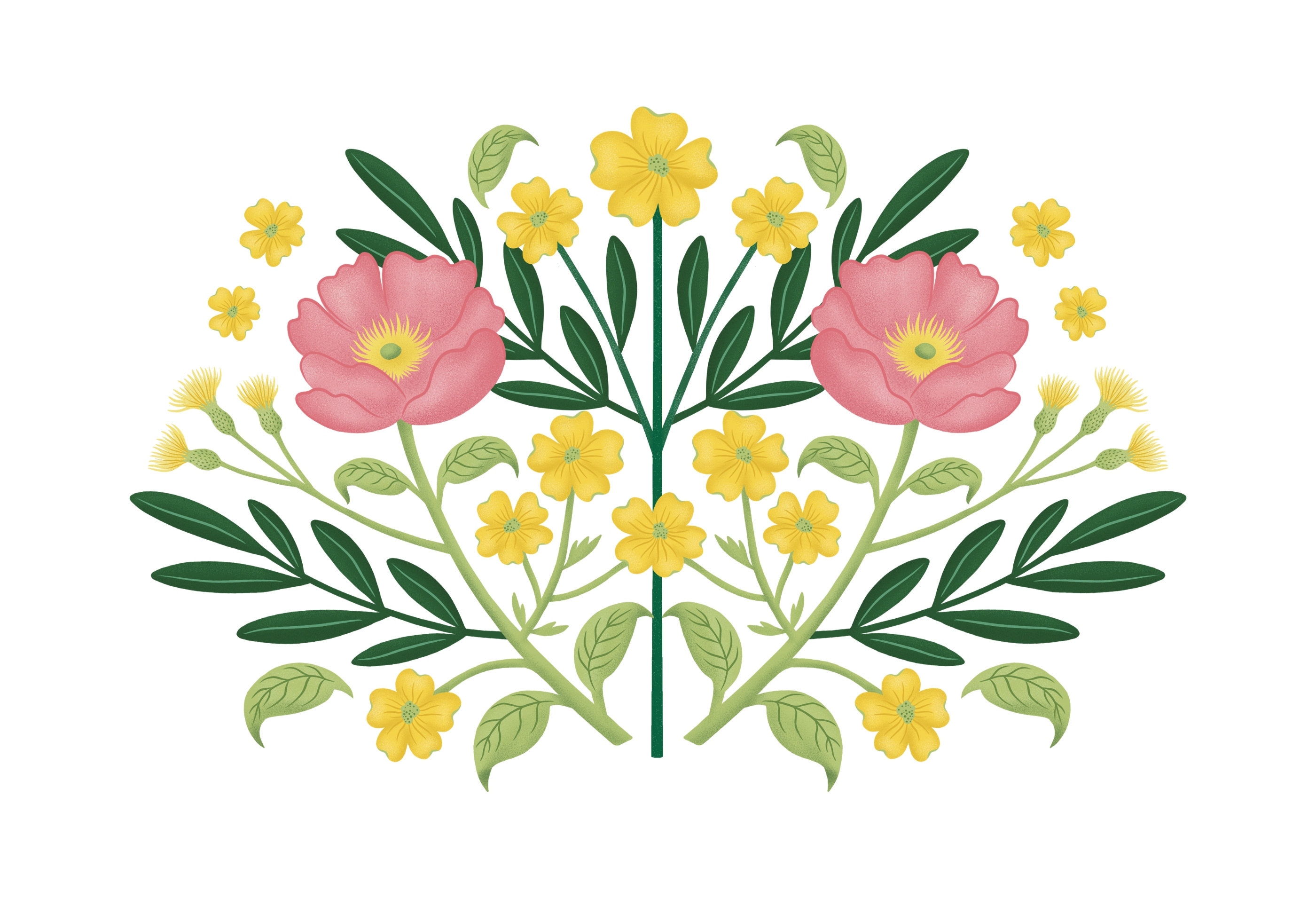 Herbality Tea- packaging design botanical illustration botany illustration branding digital illustration floral illustration graphic design illustration package package design packaging packaging design