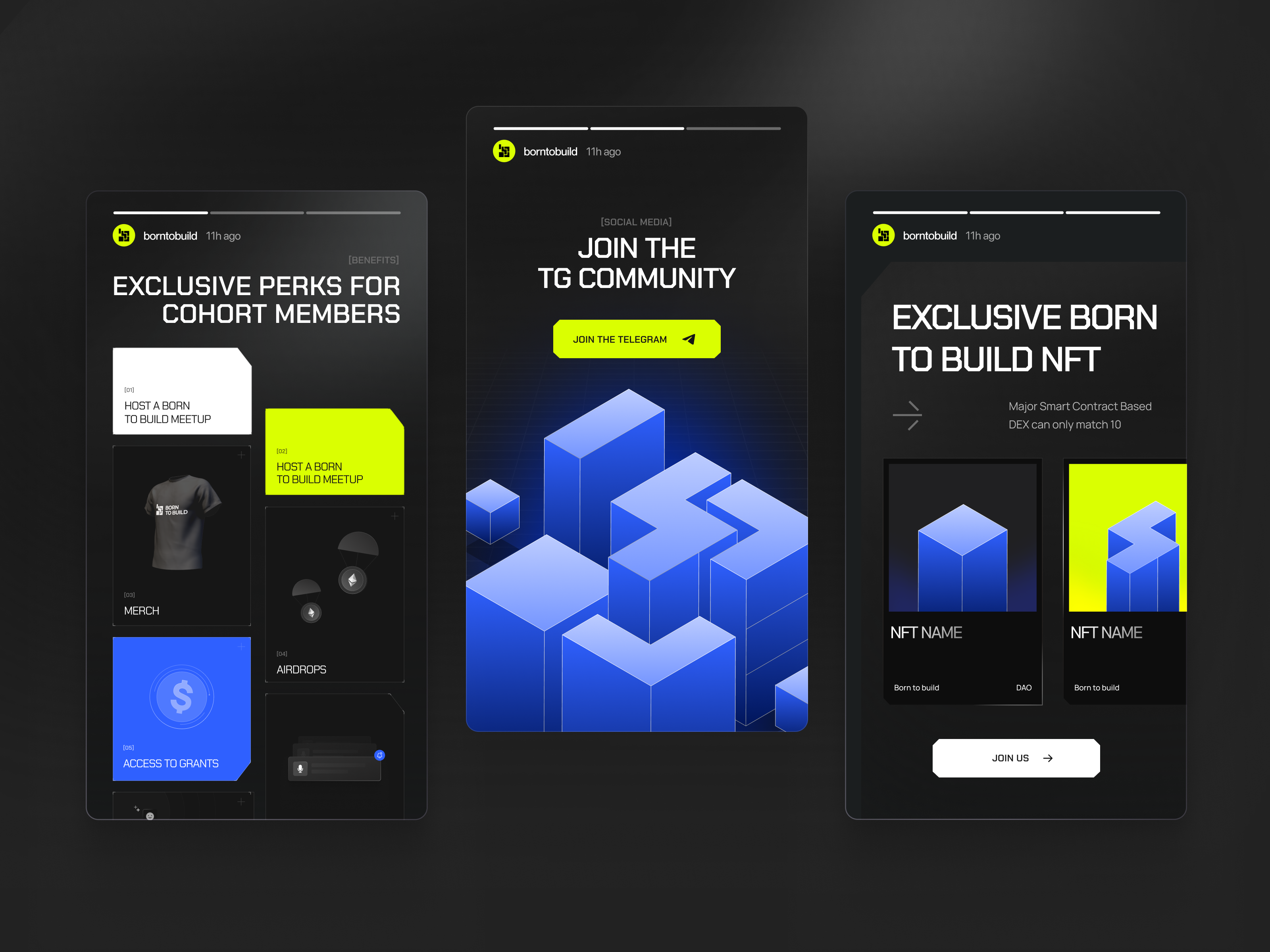 Branding for Born to Build DAO brand guidelines brand identity branding design digital illustration graphic design graphicdesign identity logo logo design logo designer logo ui logotype marketing packaging poster typography vector visual identity