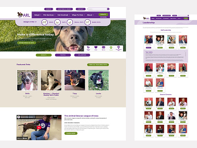 ARL (Animal Rescue League of Iowa) Web Design adoption website animal adoption animal rescue animal website cat dog horse pet adoption pet rescue pet website