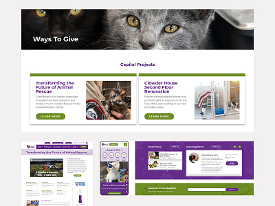 ARL (Animal Rescue League of Iowa) Web Design animal adoption animal rescue animal website cat dog horse pet adoption pet rescue pet website