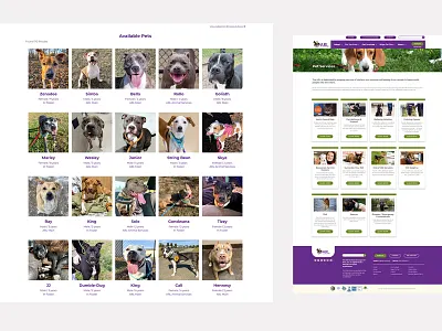ARL (Animal Rescue League of Iowa) Web Design animal adoption animal rescue animal website cat dog horse pet adoption pet rescue pet website