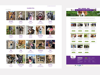 ARL (Animal Rescue League of Iowa) Web Design animal adoption animal rescue animal website cat dog horse pet adoption pet rescue pet website