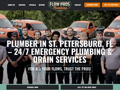 Plumbing Web Design branding web design wordpress