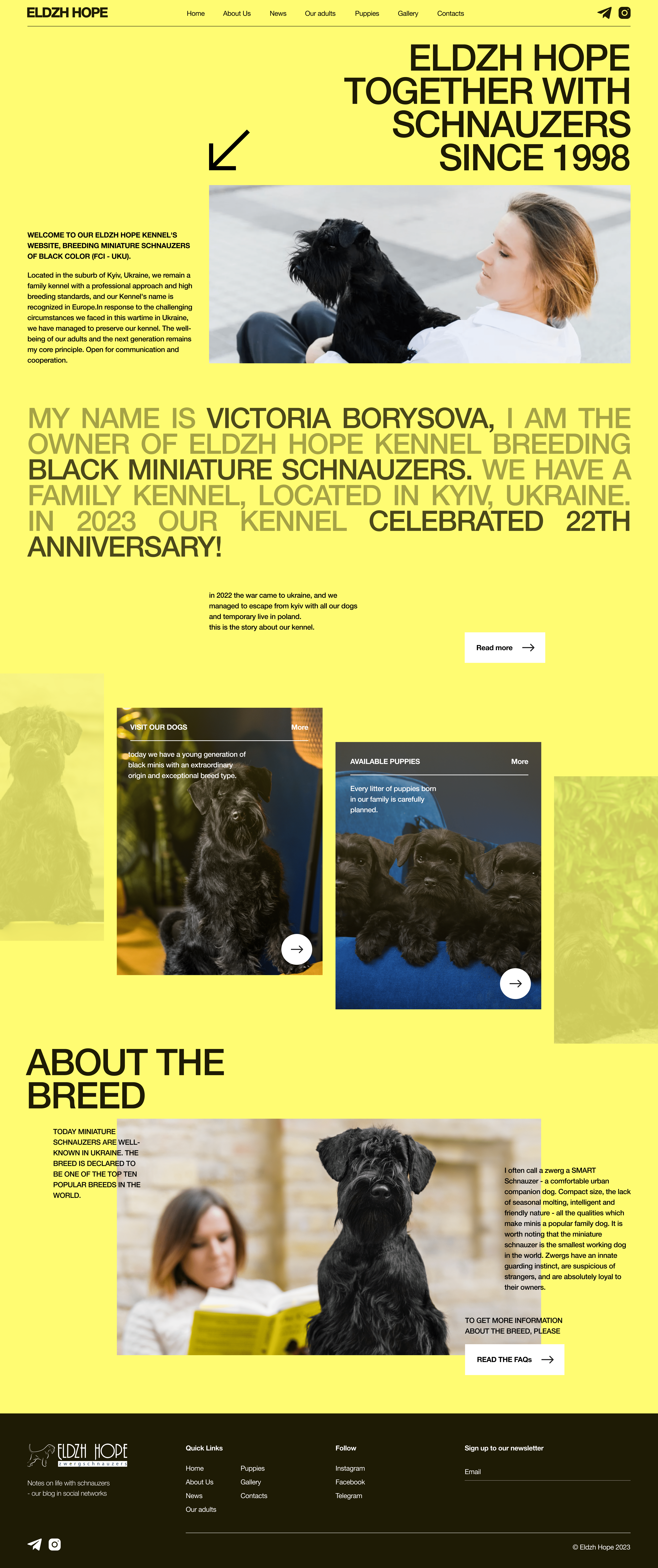 Eldzh Hope Web Design create site desginer design graphic design landing nikita mykhailov site ui ui ux ux web design web designer