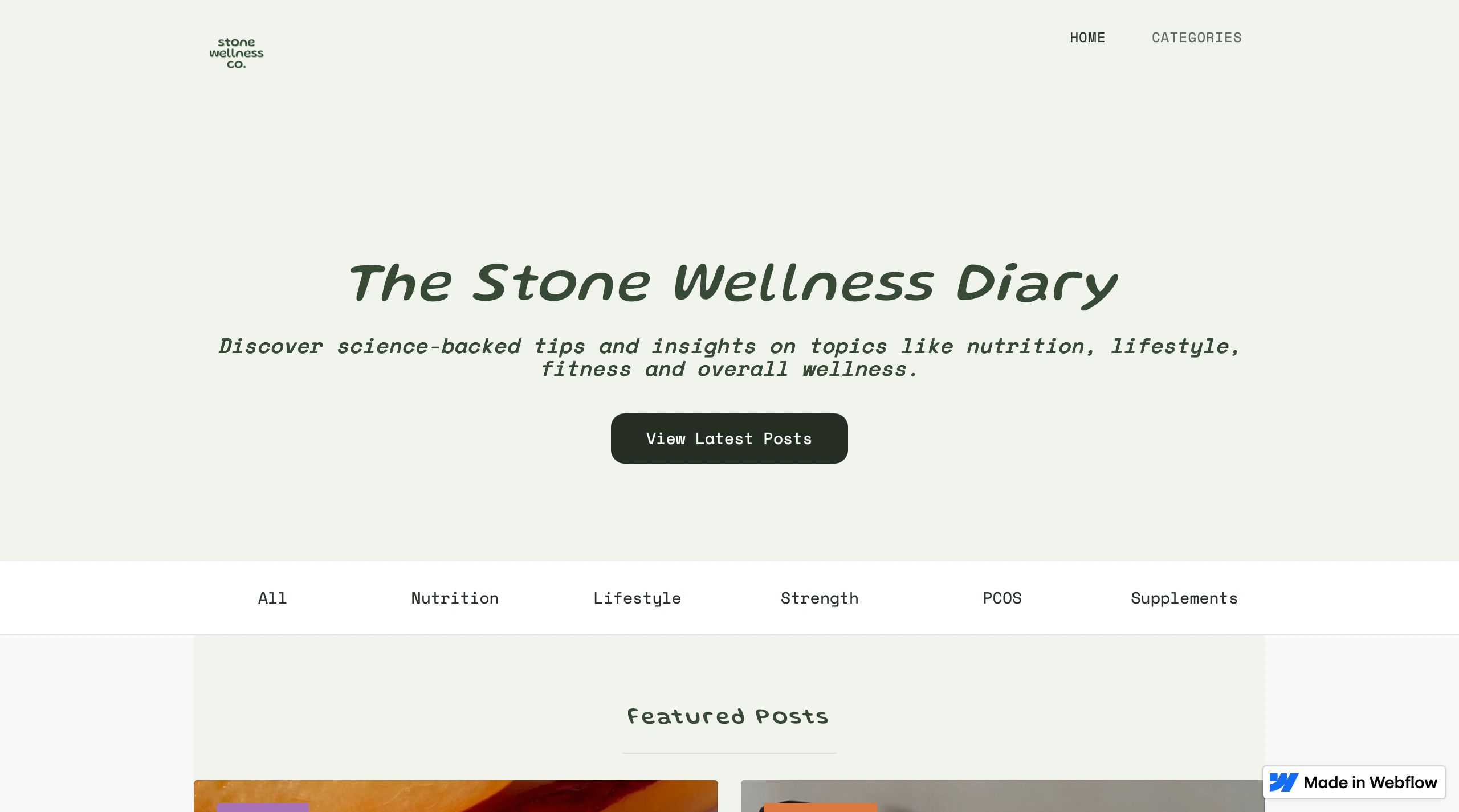 Example of Website Creation & Monthly Management