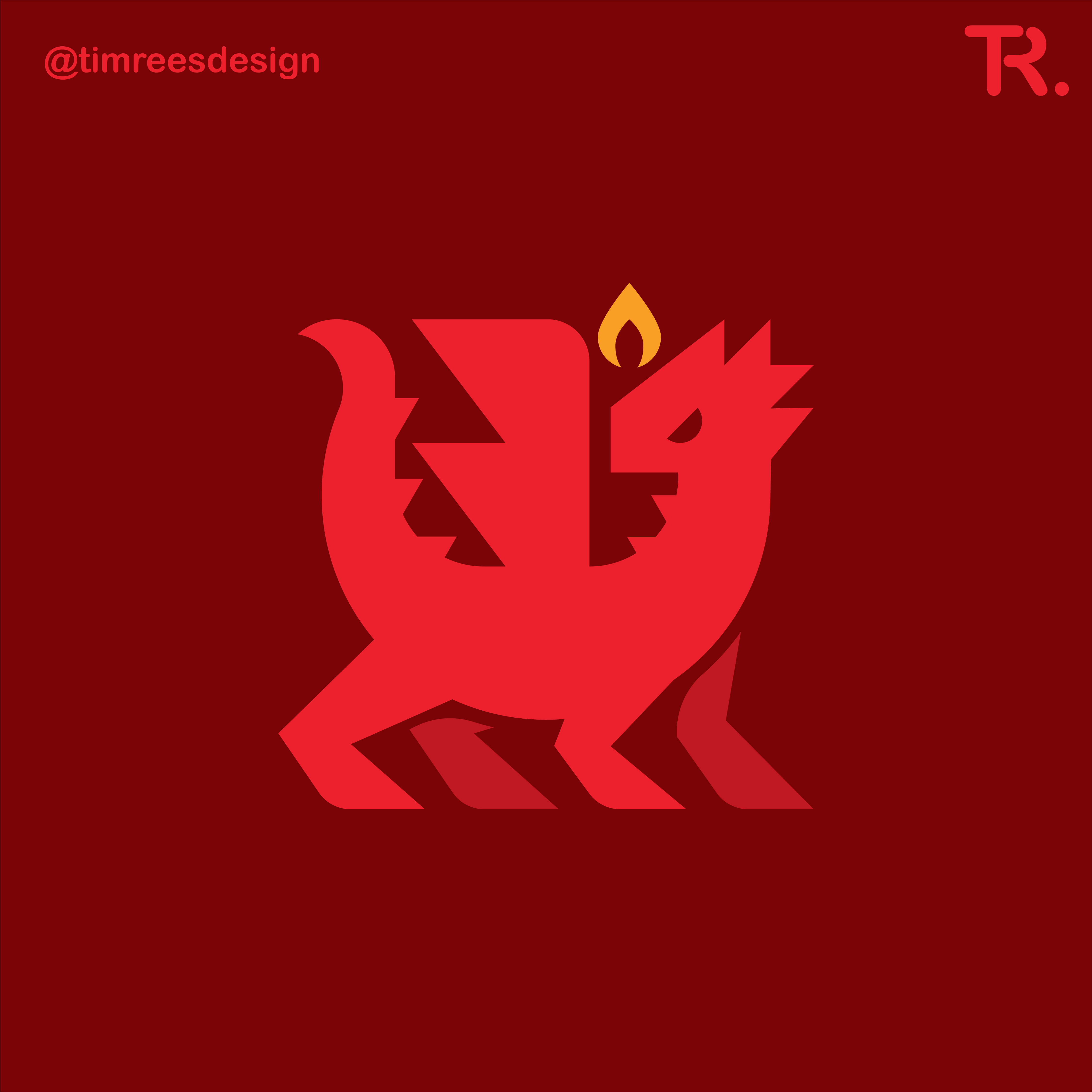 DRAGON LOGO branding design graphic design graphicdesign graphicdesigner illustration logo vector