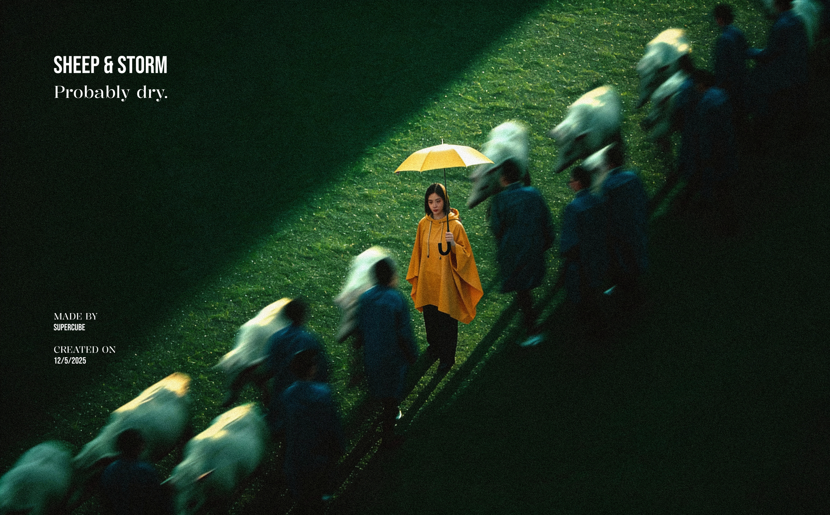 SHEEP & STORM