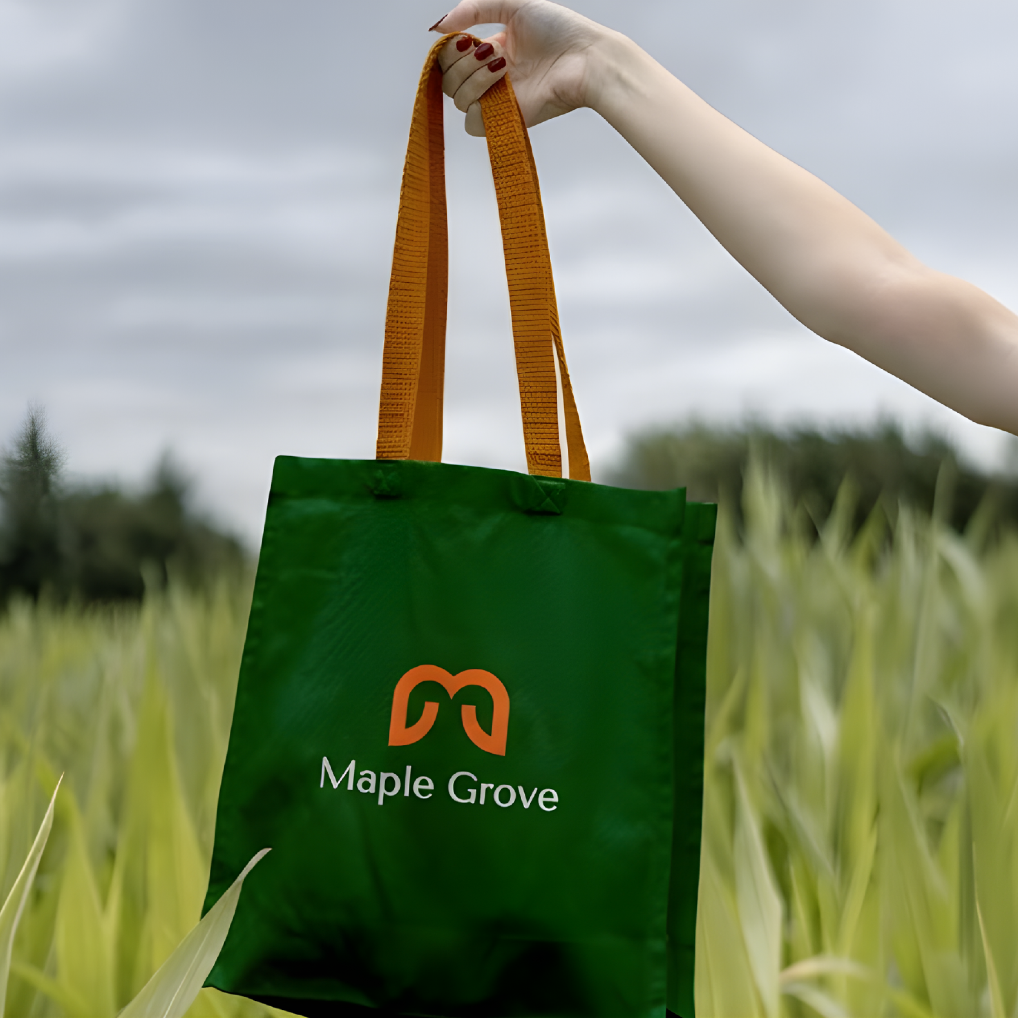 Maple Grove – Organic Farm Brand Identity agriculture branding branding clean brand designusagency eco friendly logo farm branding farm logo concept farmers market branding fresh produce branding graphic design leaf logo design logo logodesign maple grove branding minimalist farm logo modern organic identity natural brand identity nature inspired logo organic logo design sustainable branding