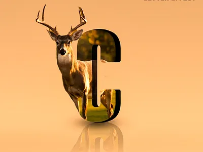 letter effect design graphic design typography