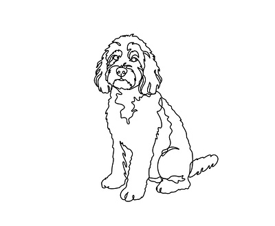 Pet custom art design illustration illustration art line art logo one line art ui vector