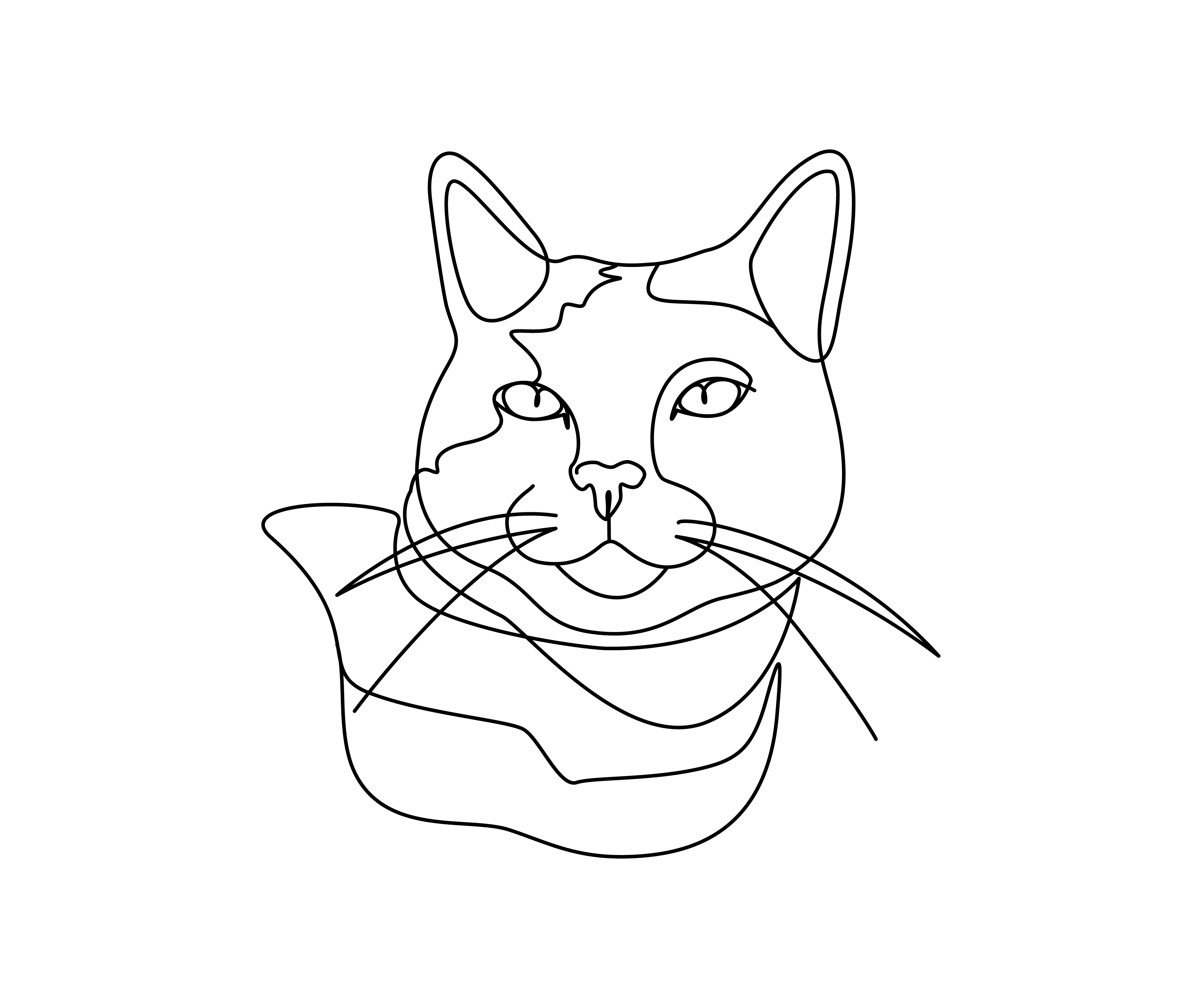 Woman body one line art branding design graphic design illustration illustration art line art one line art ui vector