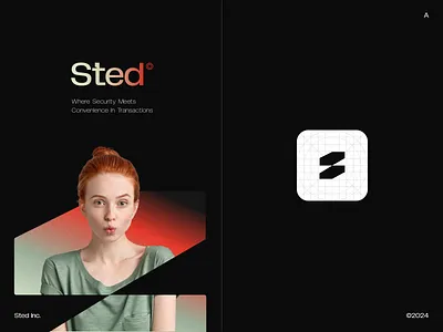 Sted - Confidence in Every Transaction bn digital branding design digital transformation graphic design logo ui