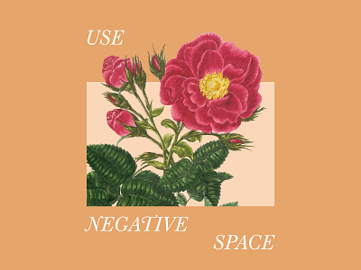 Negative Space collage composition design digital floral flower illustration layout negative space text weekly warmup