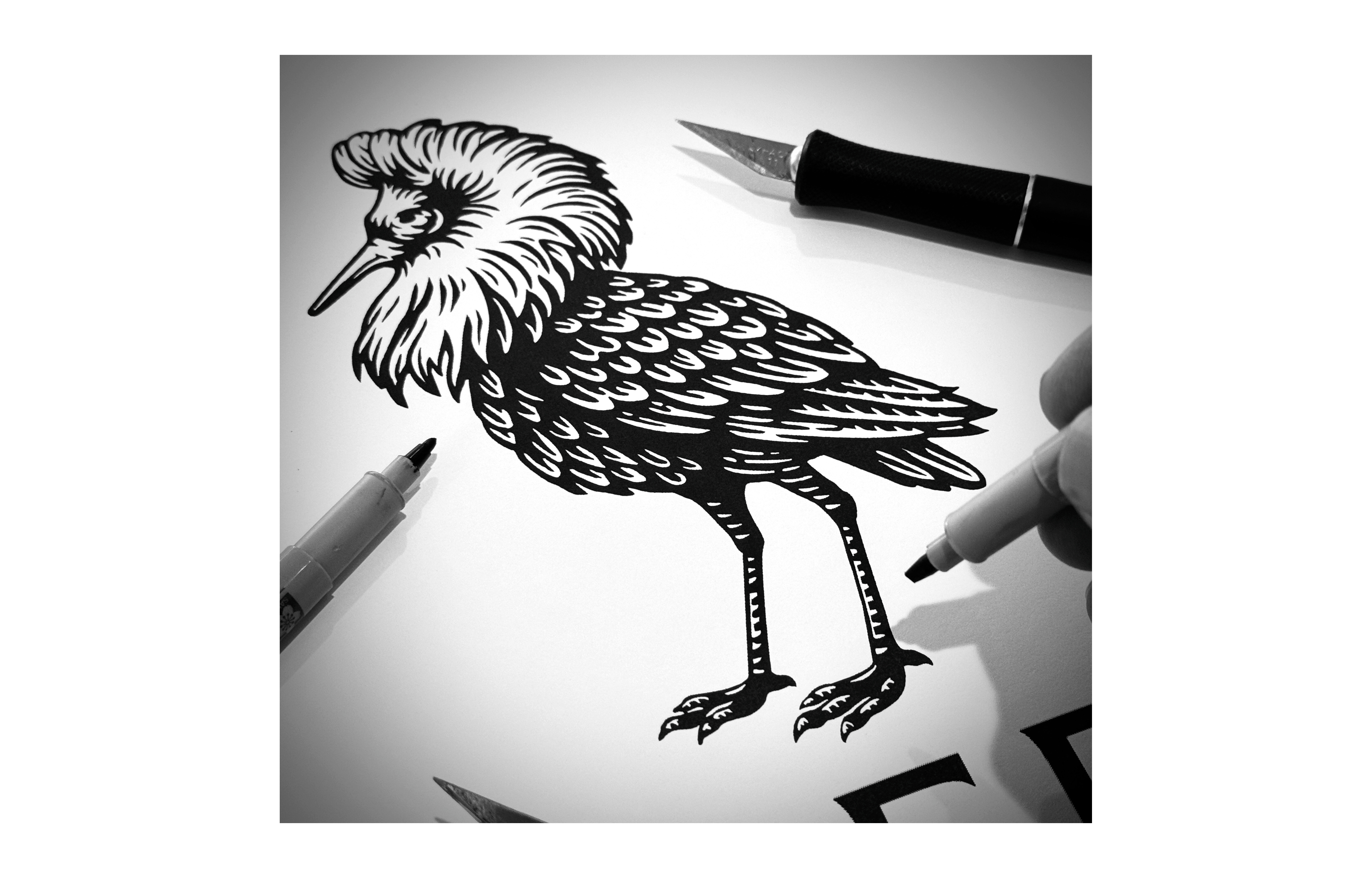 Ruffs Logo Mark Illustrated by Steven Noble artwork branding design engraving etching illustration line art logo scratchboard steven noble woodcut