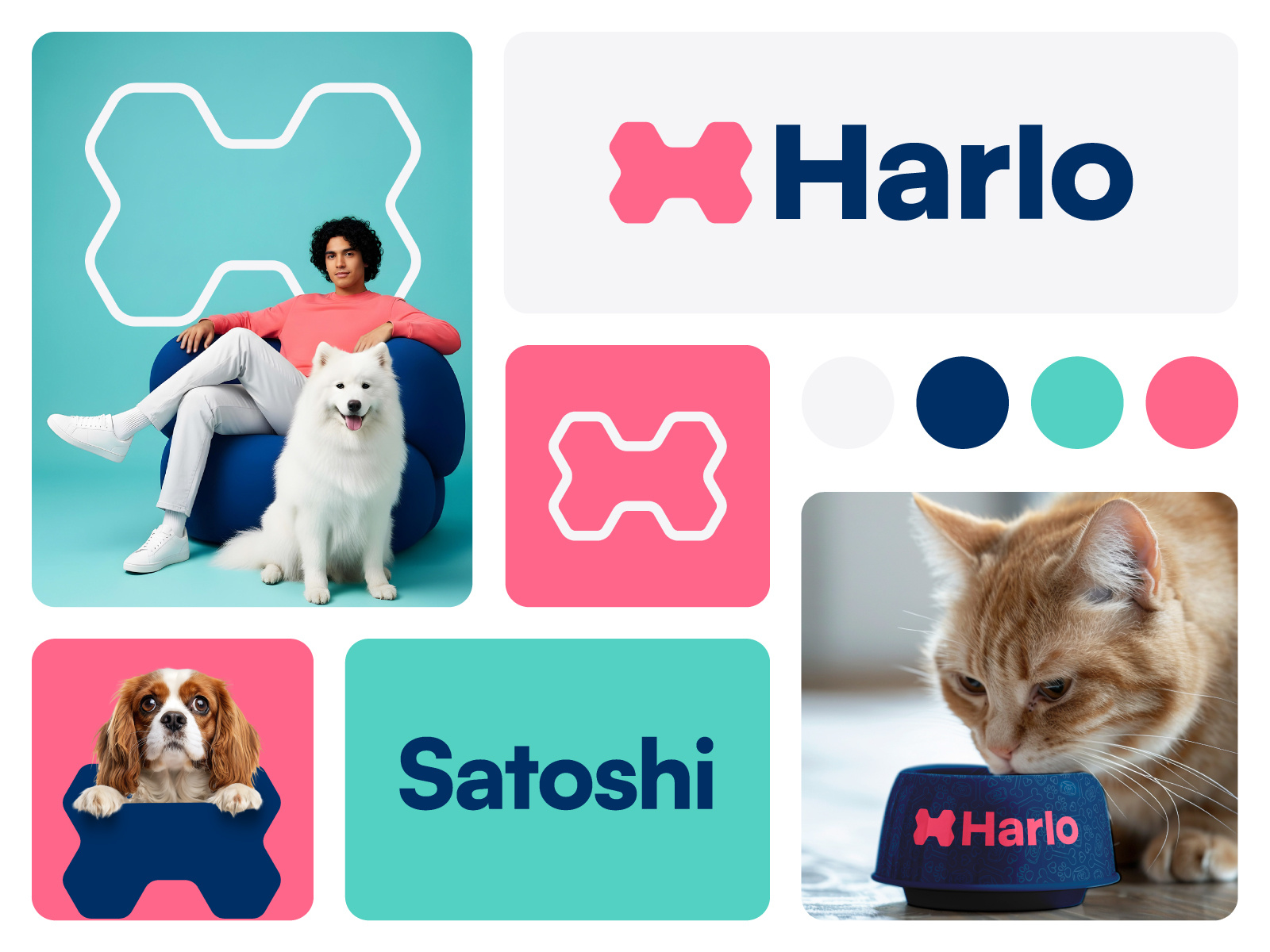 Harlo Visual Identity — Playful Pet Branding in Motion! animal logo animation bentoanimation brand identity brandsystem cat food branding designshowcase identity logo logo animation logodesign minimal logo motion deisgn motion graphics pet food brand identity pet food branding pet logo premiumpetfood branding visual idenity