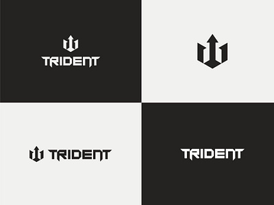 Project Branding TRIDENT brandguidelines brandidentity branding design graphic design identity logo typography vector