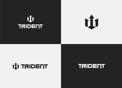 Project Branding TRIDENT brandguidelines brandidentity branding design graphic design identity logo typography vector
